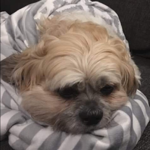 Meet your Posher, Taylor - Picture 1 of 1